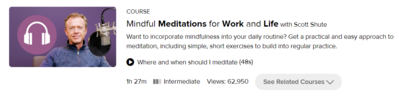Mindful Meditations for Work and Life with Scott Shute screenshot
